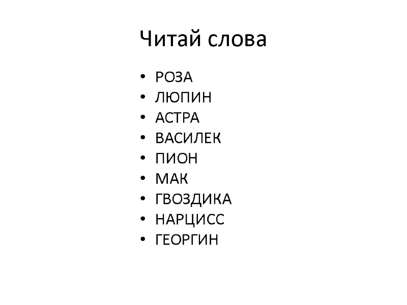 Читай слова РОЗА ЛЮПИН АСТРА ВАСИЛЕК ПИОН МАК ГВОЗДИКА НАРЦИСС ГЕОРГИН